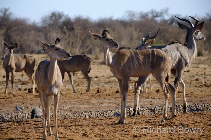 Namibia - 2024-11-01 07.53.532024-11-19 06.41.28