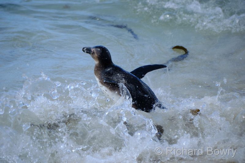 Cape Point at 2025-10-18 12.06.12