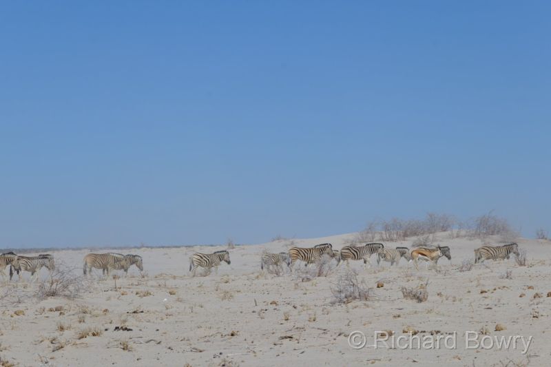 Namibia - 2024-10-29 09.42.372024-11-19 06.40.12