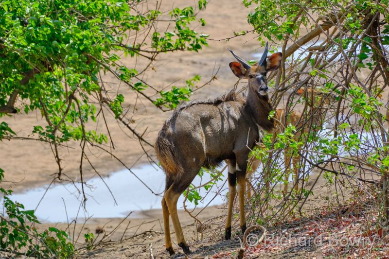 Zimbabwe - 2024-11-06 13.41.302024-11-19 06.44.48