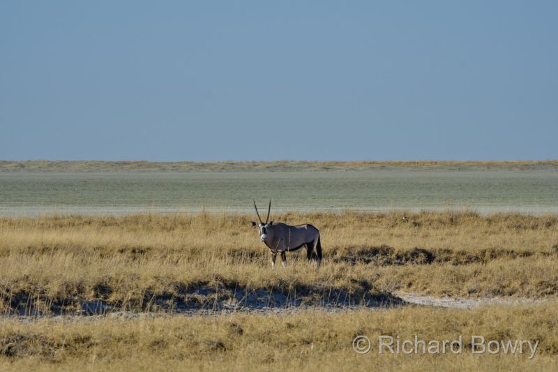Namibia - 2024-10-31 07.27.092024-11-19 06.40.50