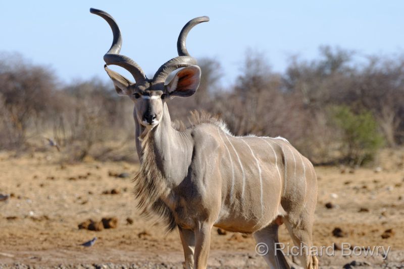 Namibia - 2024-11-01 08.21.122024-11-19 06.41.31