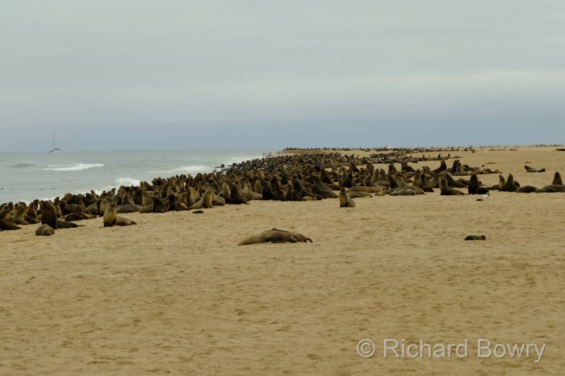 Namibia - 2024-10-24 10.16.102024-11-19 06.38.59