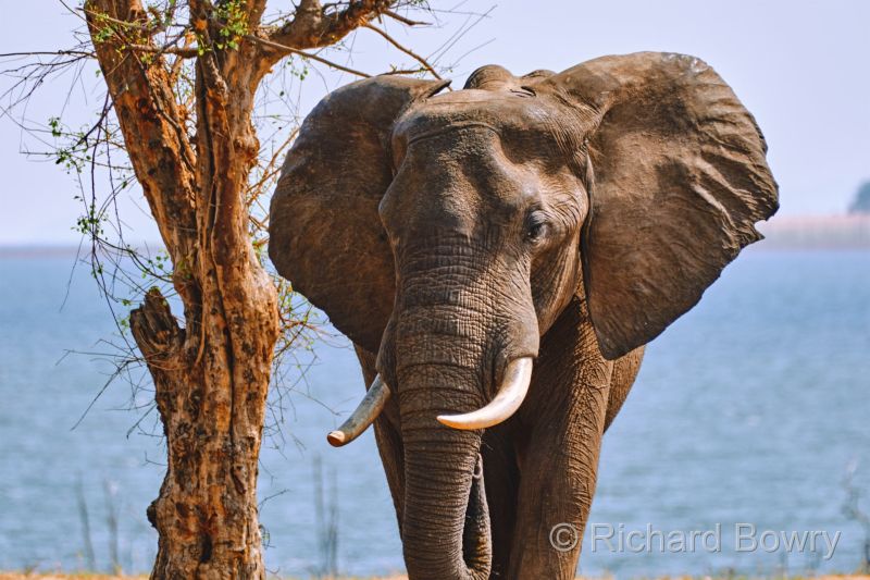 Zimbabwe on 26-11-22 at 09-16-10