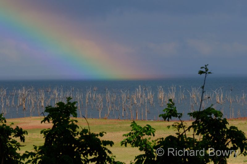 Zimbabwe on 29-11-22 at 07-51-27