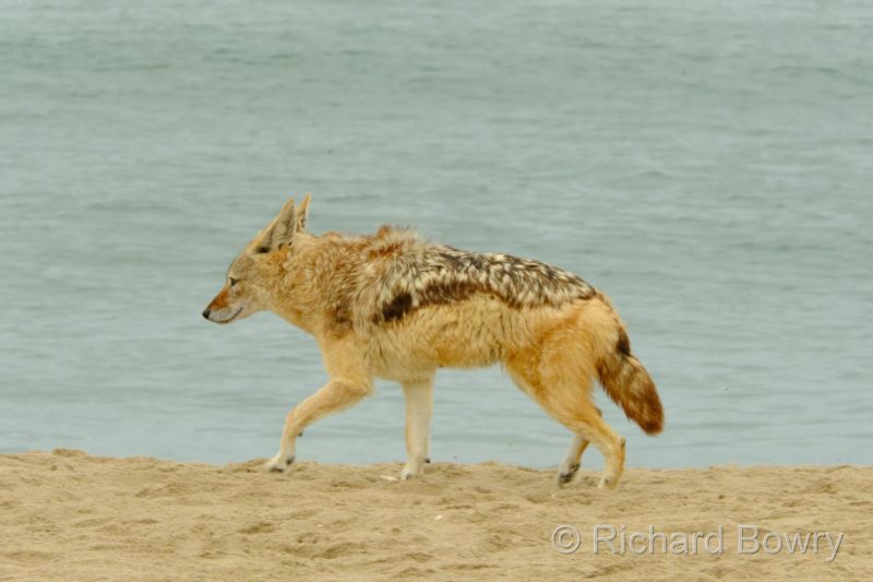 Namibia - 2024-10-24 10.14.352024-11-19 06.38.59