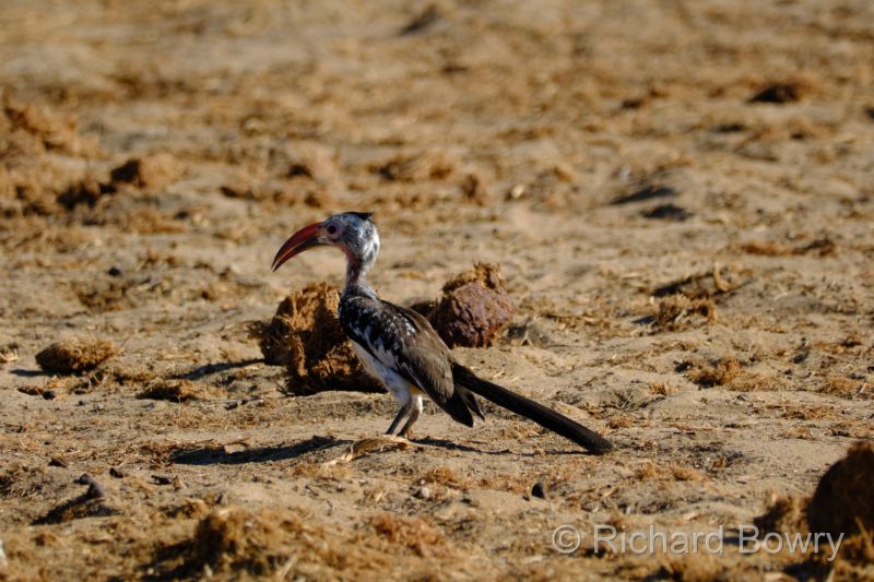 Namibia - 2024-11-01 08.32.352024-11-19 06.41.31