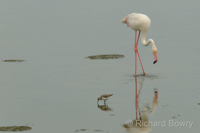 Namibia - 2024-10-24 09.10.212024-11-19 06.38.53