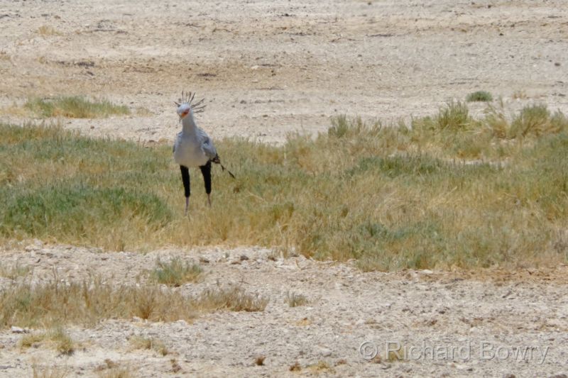 Namibia - 2024-10-29 13.01.272024-11-19 06.40.23
