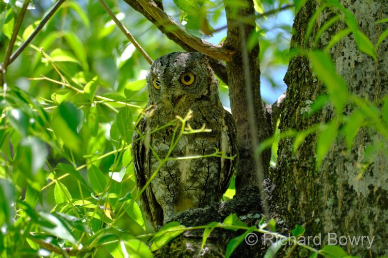 Zimbabwe on 03-12-22 at 11-51-52