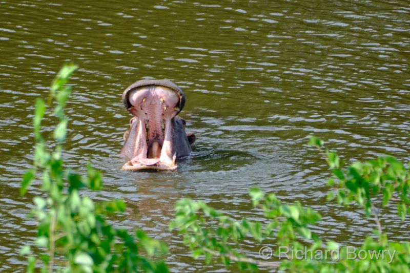 Zimbabwe on 05-12-22 at 15-29-15