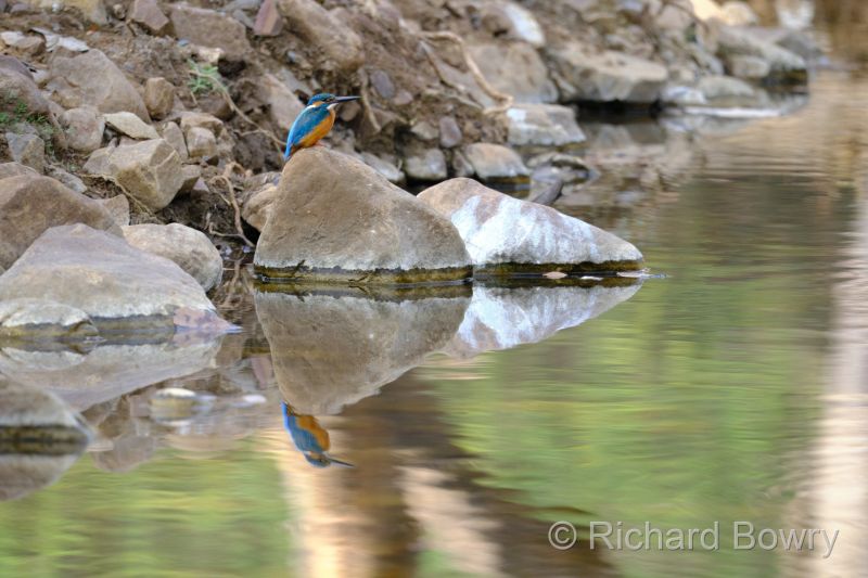 Rathambhore at 2026-02-12 15.00.13