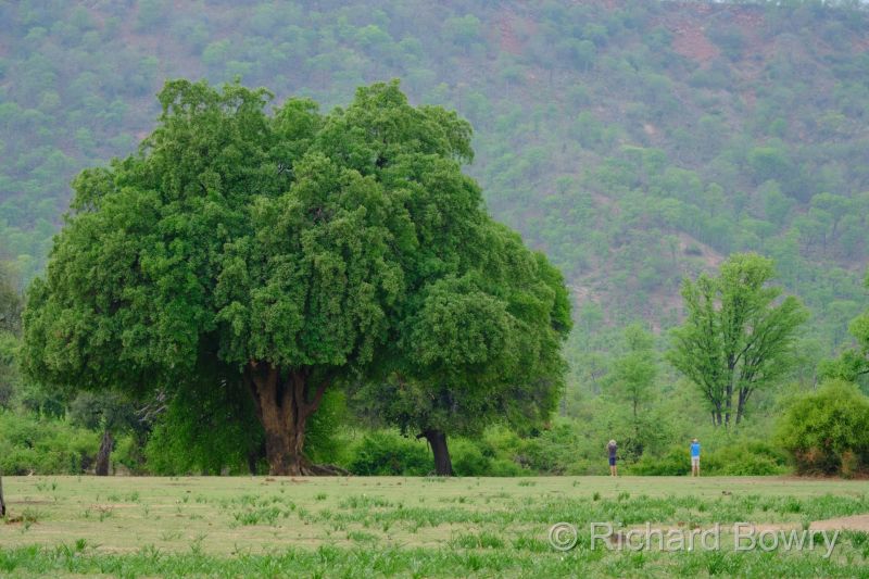 Zimbabwe - 2024-11-12 06.47.072024-11-19 06.46.11