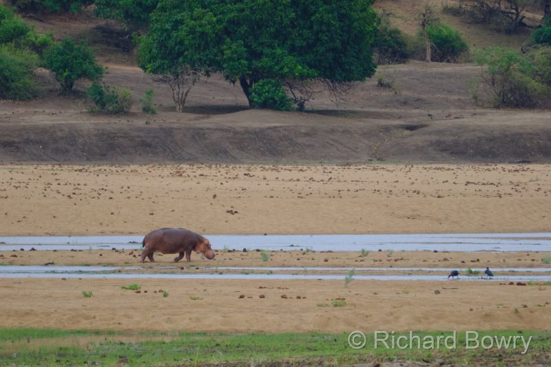 Zimbabwe - 2024-11-08 06.33.342024-11-19 06.45.10