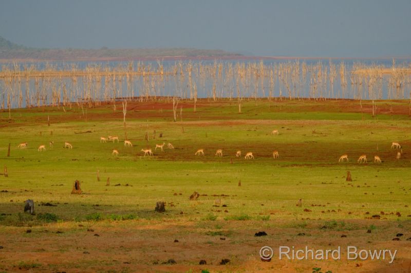 Zimbabwe on 26-11-22 at 06-07-00