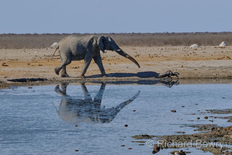 Namibia - 2024-10-31 16.29.242024-11-19 06.41.10
