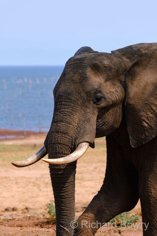 Zimbabwe on 26-11-22 at 09-19-23