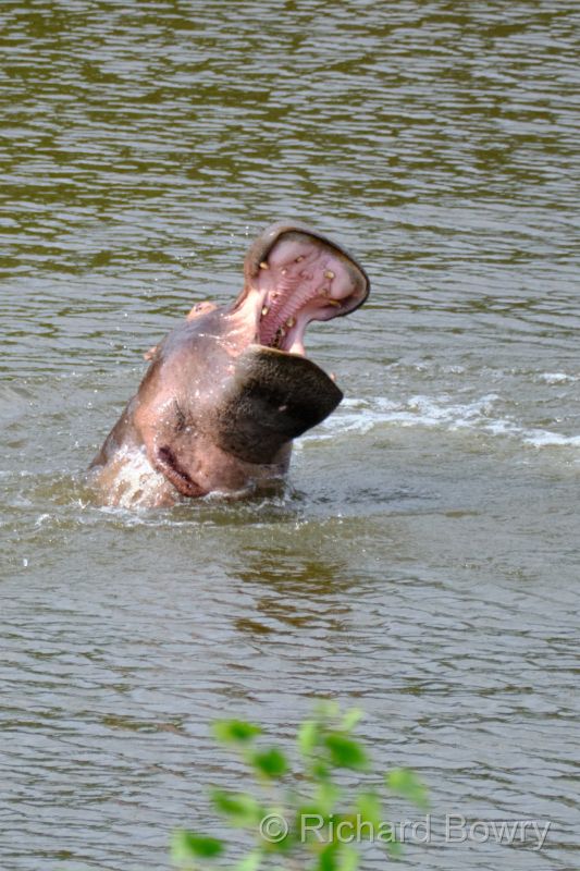 Zimbabwe on 05-12-22 at 15-21-43 1