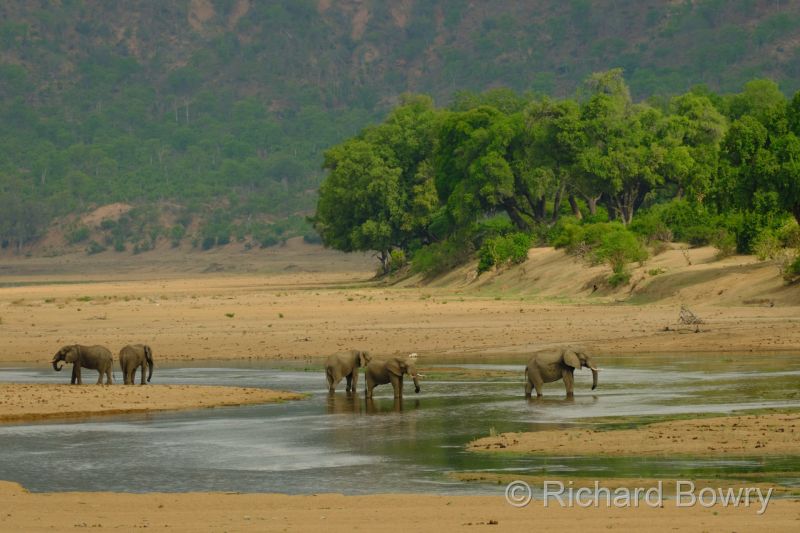 Zimbabwe - 2024-11-12 15.26.292024-11-19 06.46.28