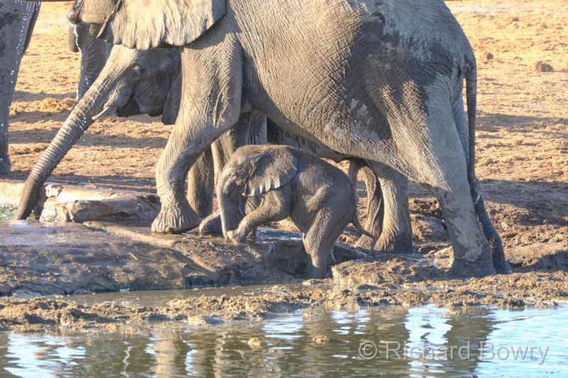 Namibia - 2024-10-31 17.50.172024-11-19 06.41.23