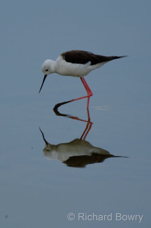 Zimbabwe on 05-12-22 at 06-50-51