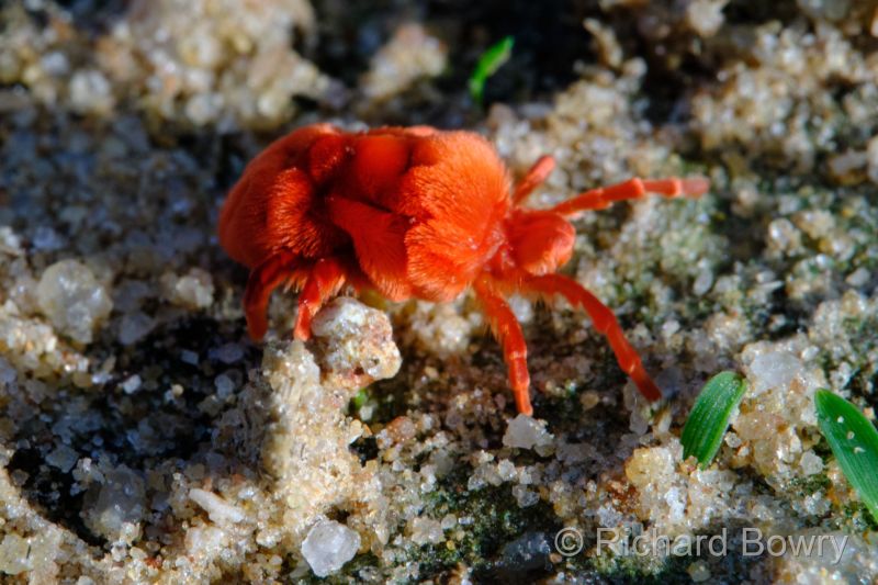 Zimbabwe on 01-12-22 at 06-50-06