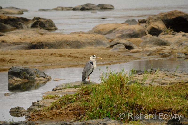 Kruger at 2025-10-16 07.14.49