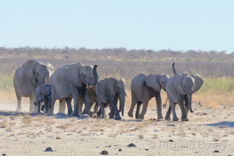 Namibia - 2024-10-31 17.17.042024-11-19 06.41.13