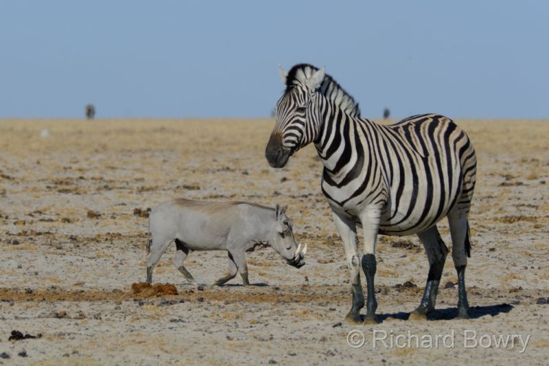 Namibia - 2024-10-31 08.19.032024-11-19 06.40.52