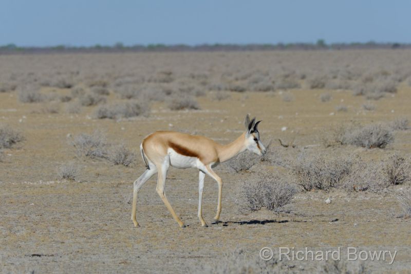 Namibia - 2024-10-29 08.11.542024-11-19 06.40.08