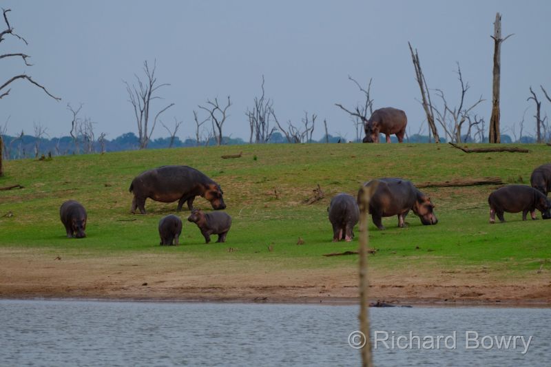 Zimbabwe on 27-11-22 at 15-12-13