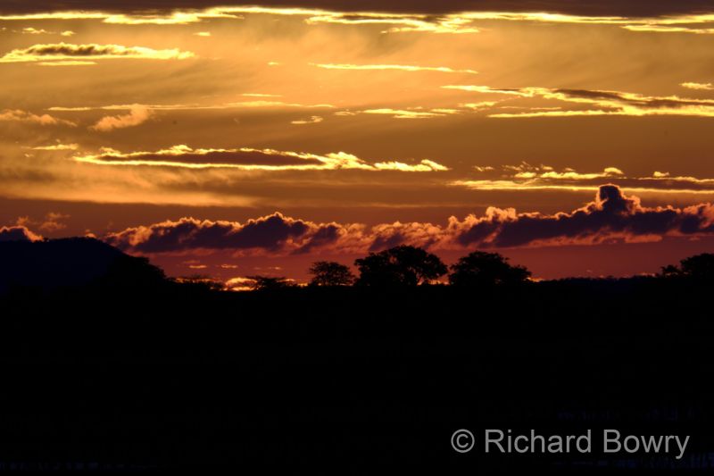 Zimbabwe on 28-11-22 at 18-24-28