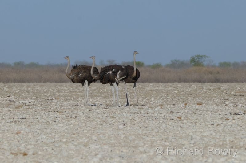 Namibia - 2024-10-28 17.24.132024-11-19 06.40.01