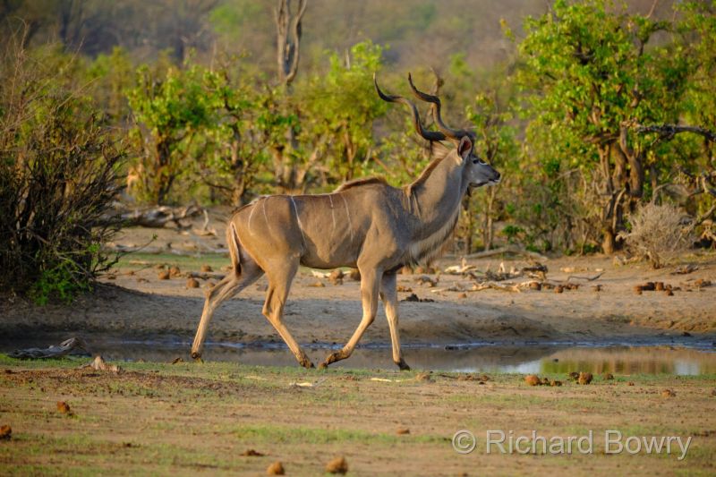 Zimbabwe - 2024-11-09 05.33.502024-11-19 06.45.29