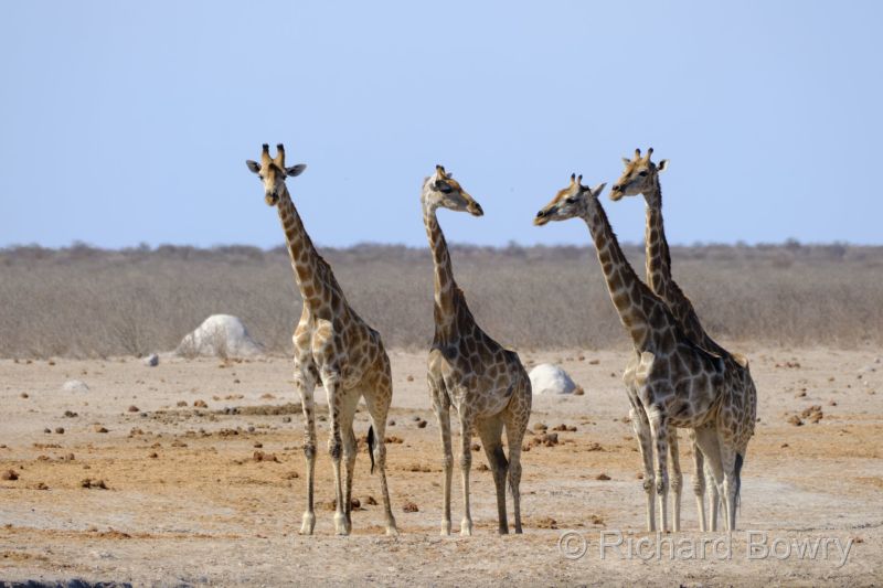 Namibia - 2024-10-31 15.56.012024-11-19 06.41.04