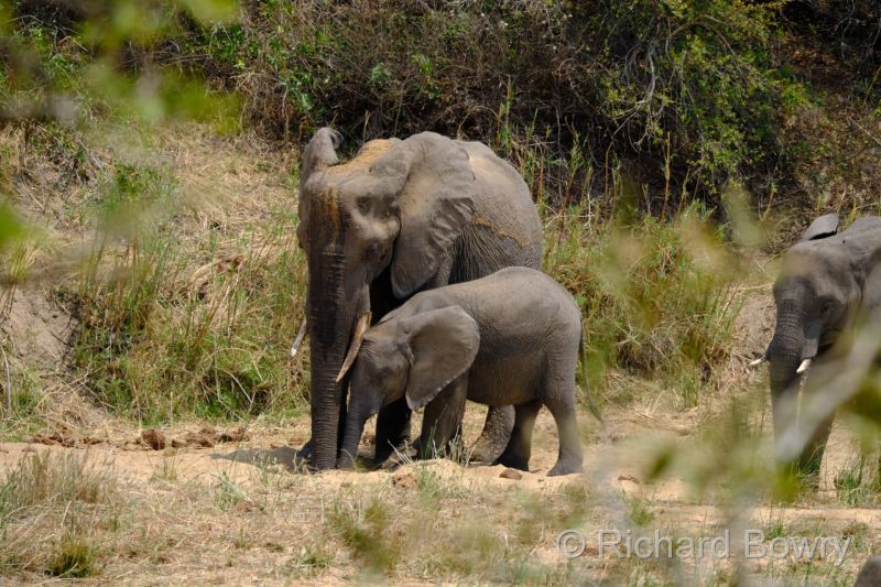 Kruger at 2025-10-13 12.03.30 at 12-03-30