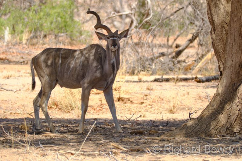 Namibia - 2024-10-27 14.50.542024-11-19 06.39.52