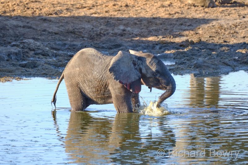 Namibia - 2024-10-31 17.47.492024-11-19 06.41.22