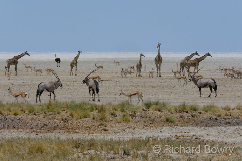 Namibia - 2024-10-29 12.51.072024-11-19 06.40.22