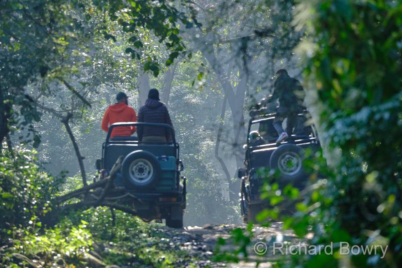 Corbett at 2026-02-05 09.48.51