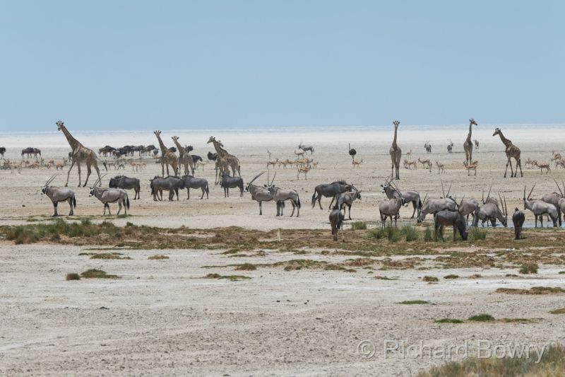 Namibia - 2024-10-29 13.00.462024-11-19 06.40.23