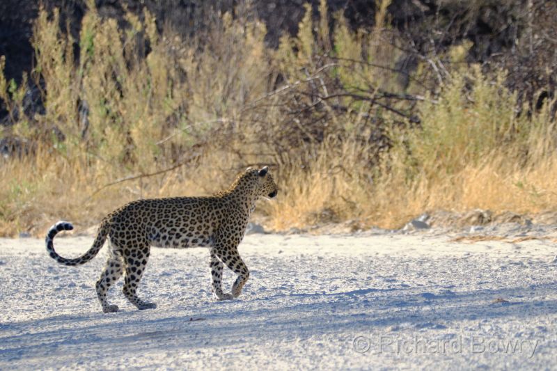 Namibia - 2024-10-31 07.44.182024-11-19 06.40.51