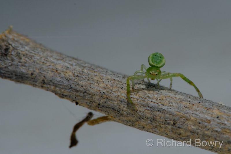 Zimbabwe on 27-11-22 at 12-49-17