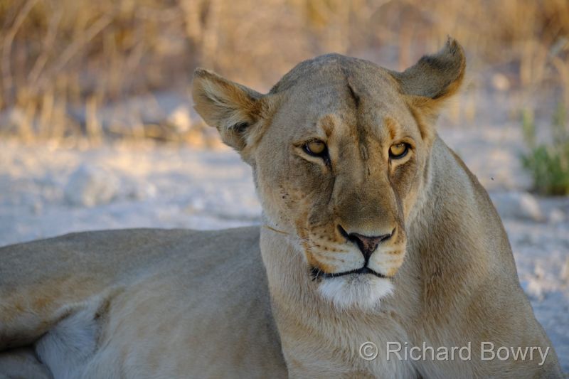 Namibia - 2024-11-01 18.32.112024-11-19 06.41.42