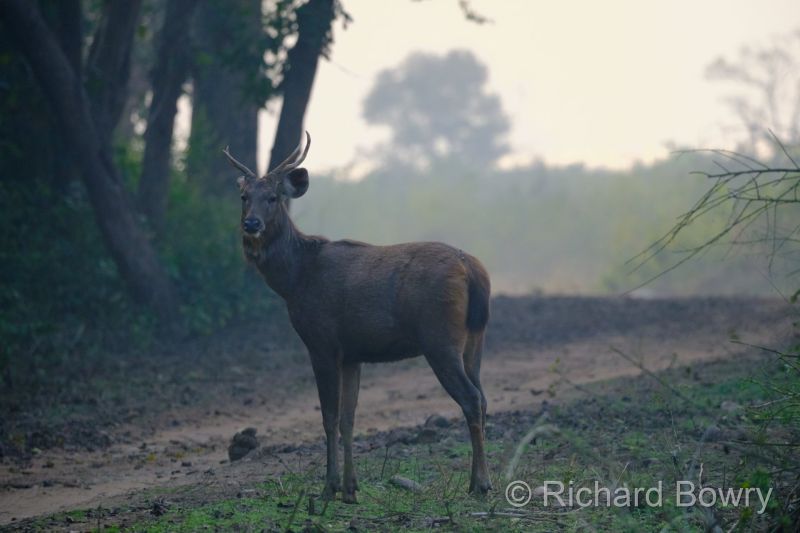 Corbett at 2026-02-04 16.56.46