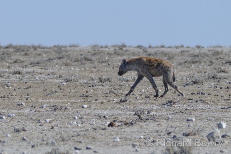Namibia - 2024-10-30 08.38.352024-11-19 06.40.32