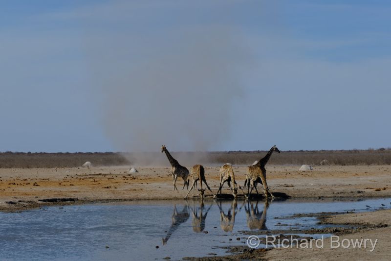 Namibia - 2024-10-31 16.03.112024-11-19 06.41.07