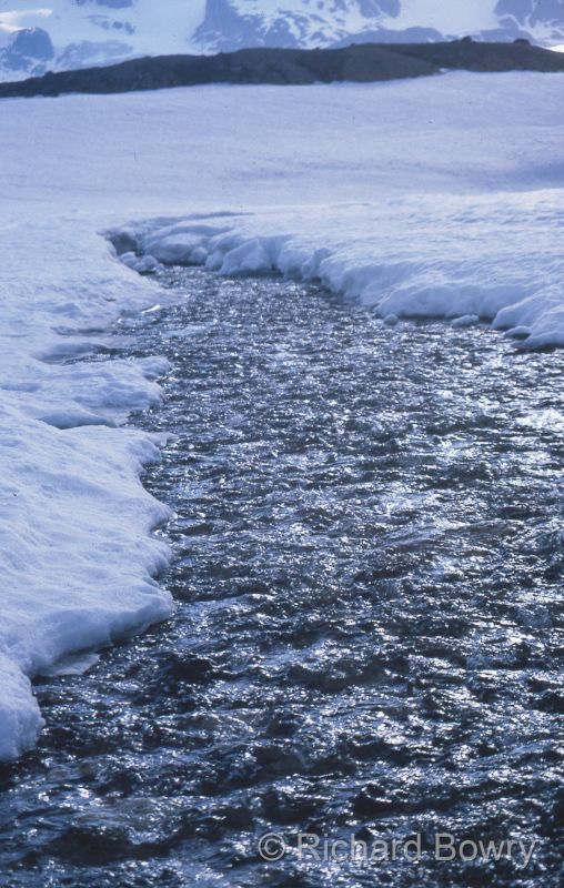 Svalbard (37 of 112)