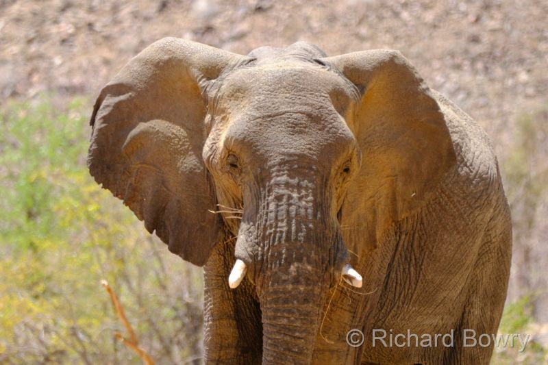 Namibia - 2024-10-27 11.54.372024-11-19 06.39.50