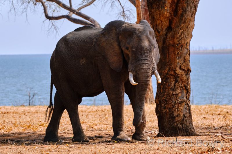 Zimbabwe on 26-11-22 at 09-10-43